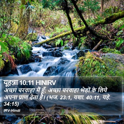 यूहन्ना 10:11 HINIRV Bible Verse Image