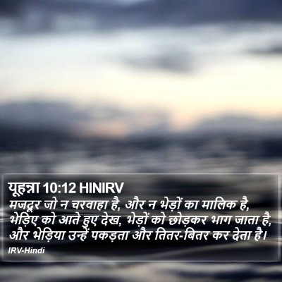 यूहन्ना 10:12 HINIRV Bible Verse Image