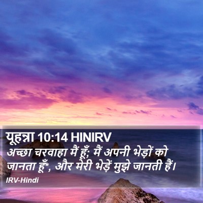 यूहन्ना 10:14 HINIRV Bible Verse Image