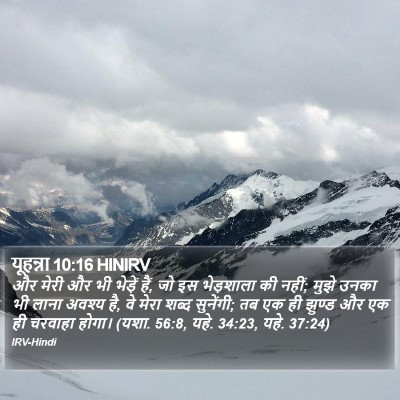 यूहन्ना 10:16 HINIRV Bible Verse Image
