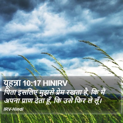 यूहन्ना 10:17 HINIRV Bible Verse Image