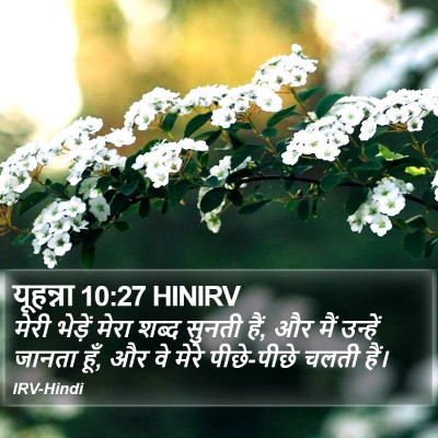 यूहन्ना 10:27 HINIRV Bible Verse Image