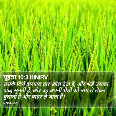 यूहन्ना 10:3 HINIRV Bible Verse Image