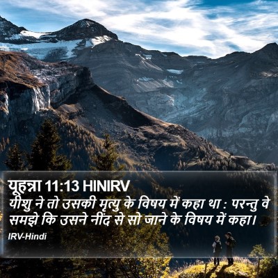 यूहन्ना 11:13 HINIRV Bible Verse Image