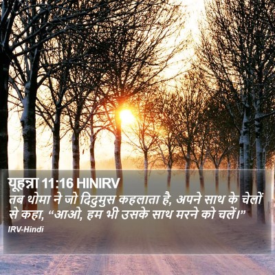 यूहन्ना 11:16 HINIRV Bible Verse Image