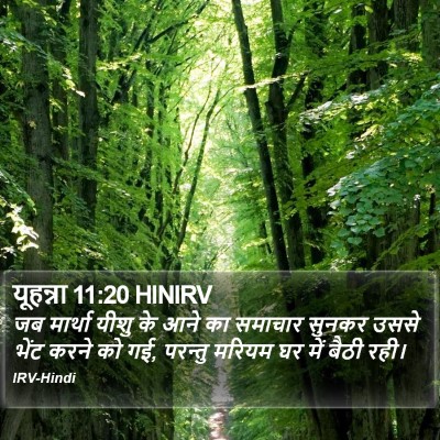 यूहन्ना 11:20 HINIRV Bible Verse Image