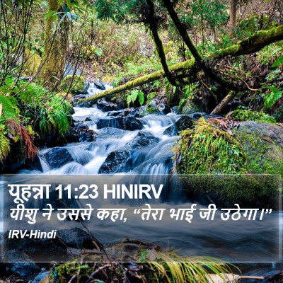 यूहन्ना 11:23 HINIRV Bible Verse Image