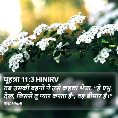 यूहन्ना 11:3 HINIRV Bible Verse Image