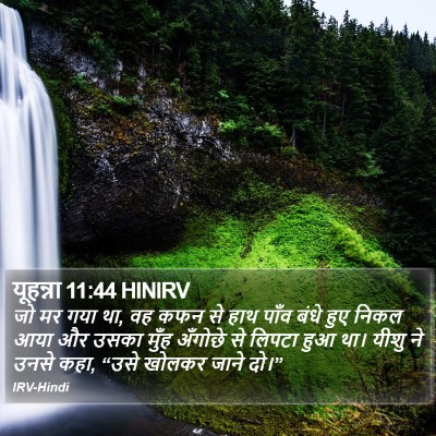 यूहन्ना 11:44 HINIRV Bible Verse Image