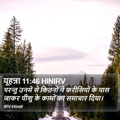 यूहन्ना 11:46 HINIRV Bible Verse Image