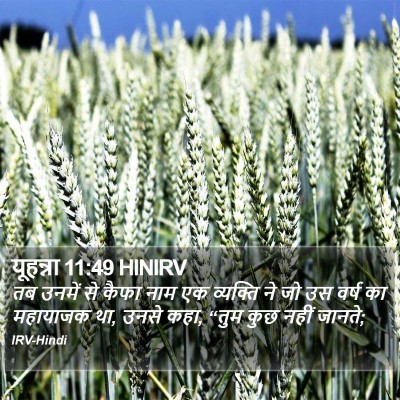 यूहन्ना 11:49 HINIRV Bible Verse Image