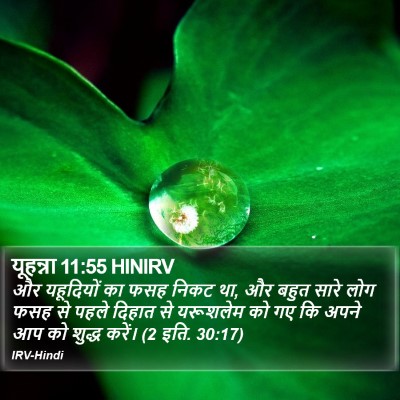 यूहन्ना 11:55 HINIRV Bible Verse Image