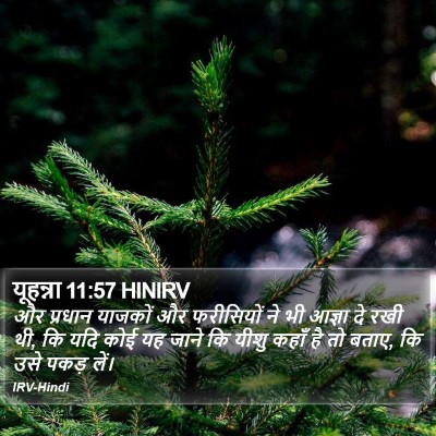 यूहन्ना 11:57 HINIRV Bible Verse Image