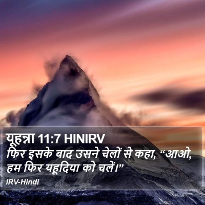 यूहन्ना 11:7 HINIRV Bible Verse Image