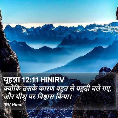 यूहन्ना 12:11 HINIRV Bible Verse Image