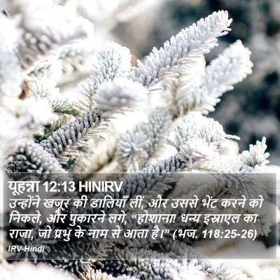 यूहन्ना 12:13 HINIRV Bible Verse Image