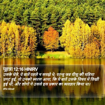 यूहन्ना 12:16 HINIRV Bible Verse Image