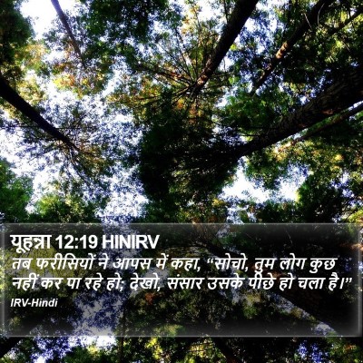 यूहन्ना 12:19 HINIRV Bible Verse Image