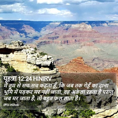 यूहन्ना 12:24 HINIRV Bible Verse Image