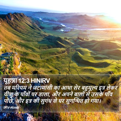 यूहन्ना 12:3 HINIRV Bible Verse Image