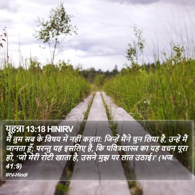 यूहन्ना 13:18 HINIRV Bible Verse Image
