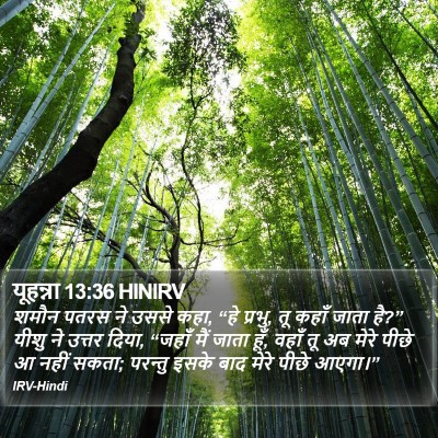 यूहन्ना 13:36 HINIRV Bible Verse Image