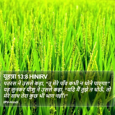 यूहन्ना 13:8 HINIRV Bible Verse Image