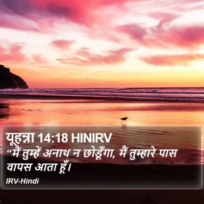 यूहन्ना 14:18 HINIRV Bible Verse Image