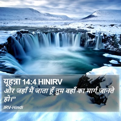 यूहन्ना 14:4 HINIRV Bible Verse Image