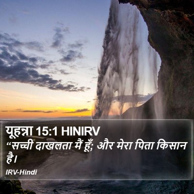 यूहन्ना 15:1 HINIRV Bible Verse Image