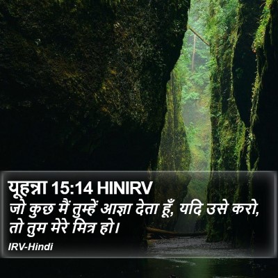 यूहन्ना 15:14 HINIRV Bible Verse Image