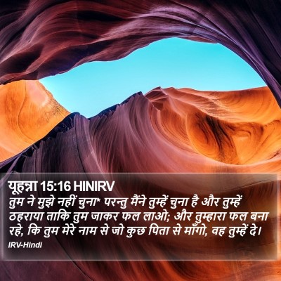 यूहन्ना 15:16 HINIRV Bible Verse Image