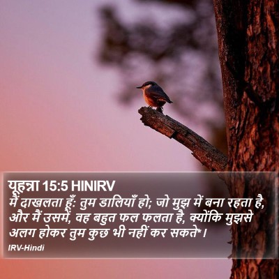 यूहन्ना 15:5 HINIRV Bible Verse Image