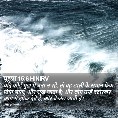 यूहन्ना 15:6 HINIRV Bible Verse Image