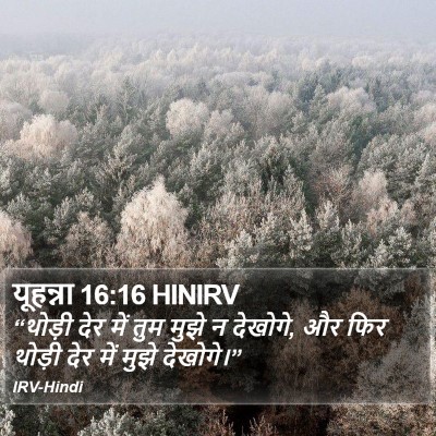 यूहन्ना 16:16 HINIRV Bible Verse Image