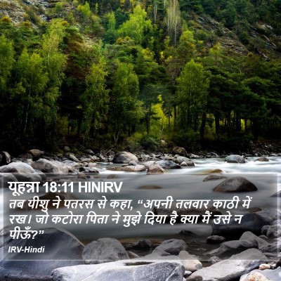 यूहन्ना 18:11 HINIRV Bible Verse Image