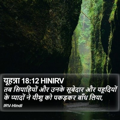 यूहन्ना 18:12 HINIRV Bible Verse Image