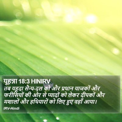 यूहन्ना 18:3 HINIRV Bible Verse Image