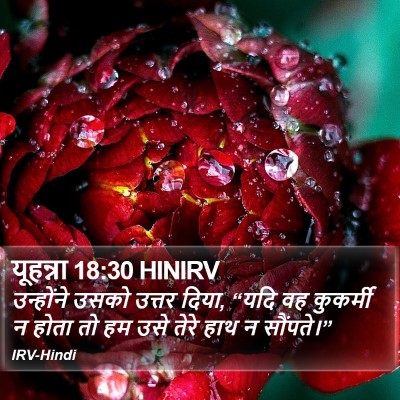 यूहन्ना 18:30 HINIRV Bible Verse Image