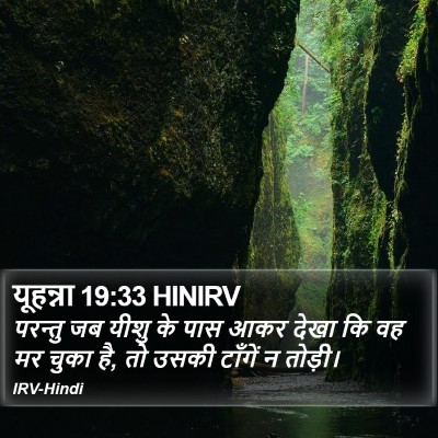 यूहन्ना 19:33 HINIRV Bible Verse Image