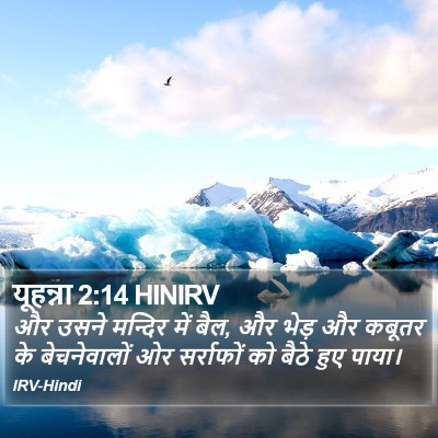 यूहन्ना 2:14 HINIRV Bible Verse Image