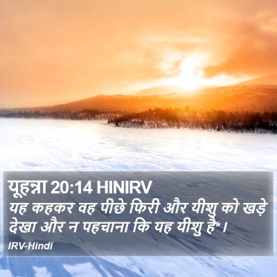 यूहन्ना 20:14 HINIRV Bible Verse Image
