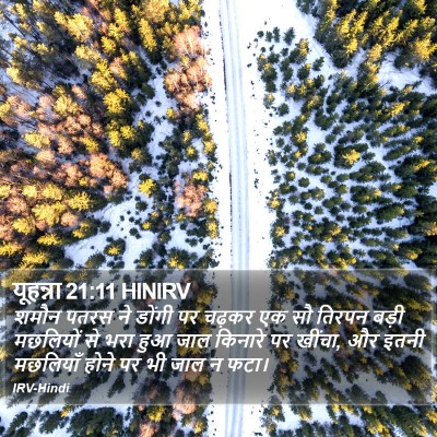 यूहन्ना 21:11 HINIRV Bible Verse Image