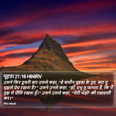यूहन्ना 21:16 HINIRV Bible Verse Image