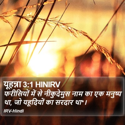 यूहन्ना 3:1 HINIRV Bible Verse Image