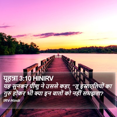 यूहन्ना 3:10 HINIRV Bible Verse Image