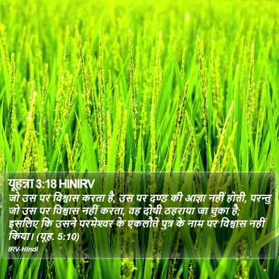 यूहन्ना 3:18 HINIRV Bible Verse Image