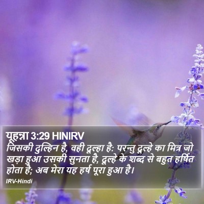 यूहन्ना 3:29 HINIRV Bible Verse Image