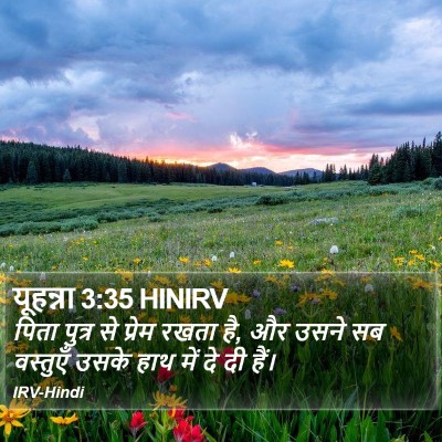 यूहन्ना 3:35 HINIRV Bible Verse Image