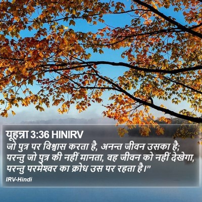 यूहन्ना 3:36 HINIRV Bible Verse Image